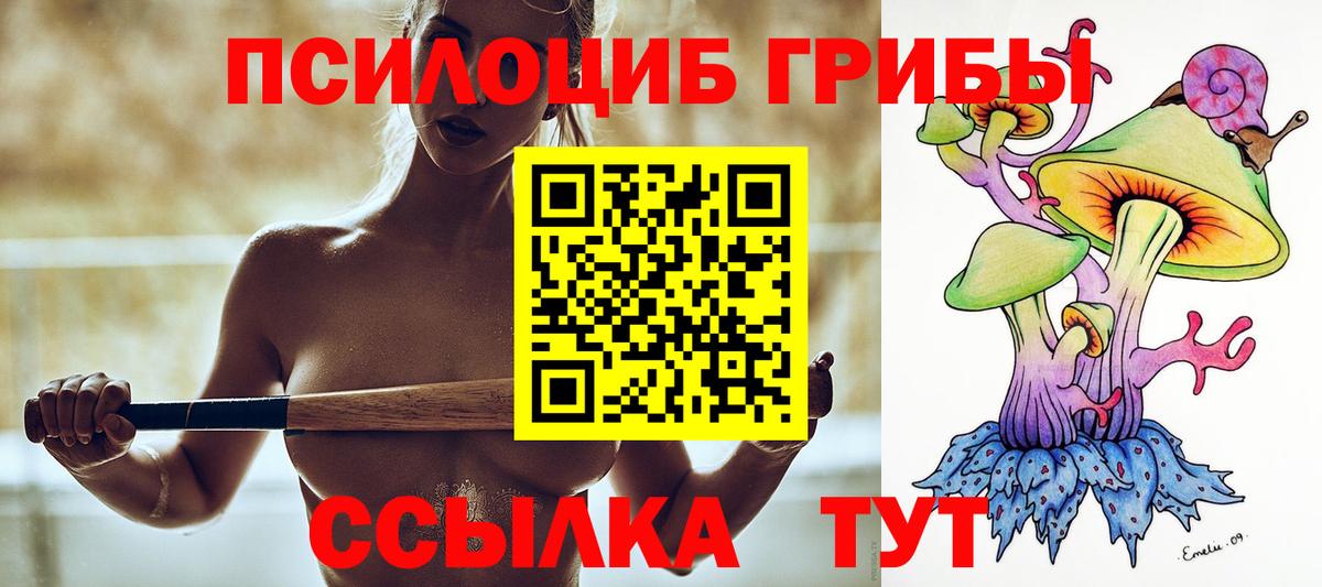 Ялуторовск  Галлюциногенные грибы Psilocybe  Вход с VPN 